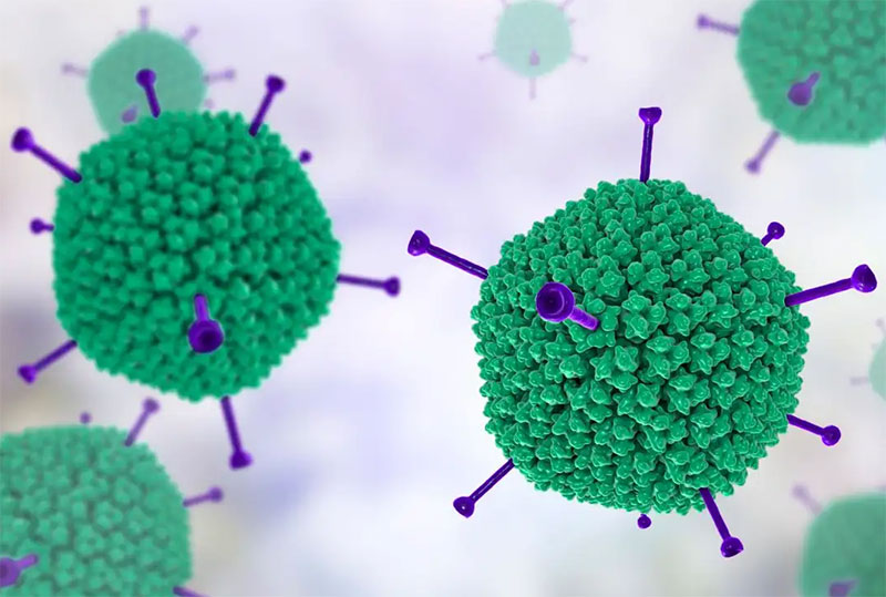 adenovirus là gì